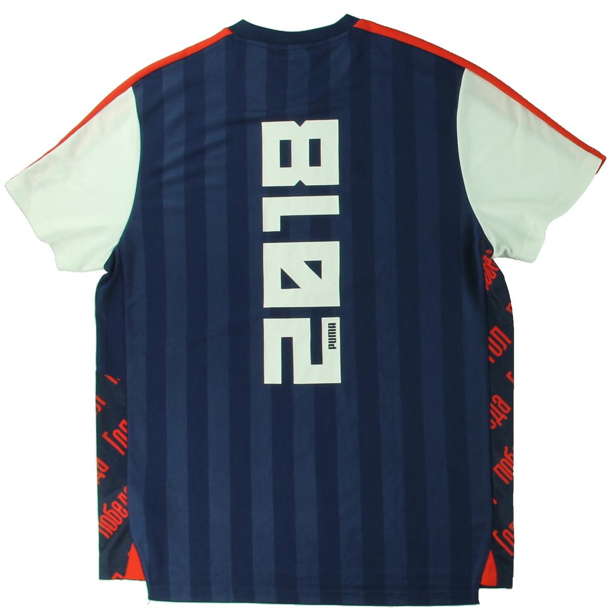 Puma Mens World Cup Navy Colorblock Fitness T-Shirt Athletic L BHFO 2623 | eBay