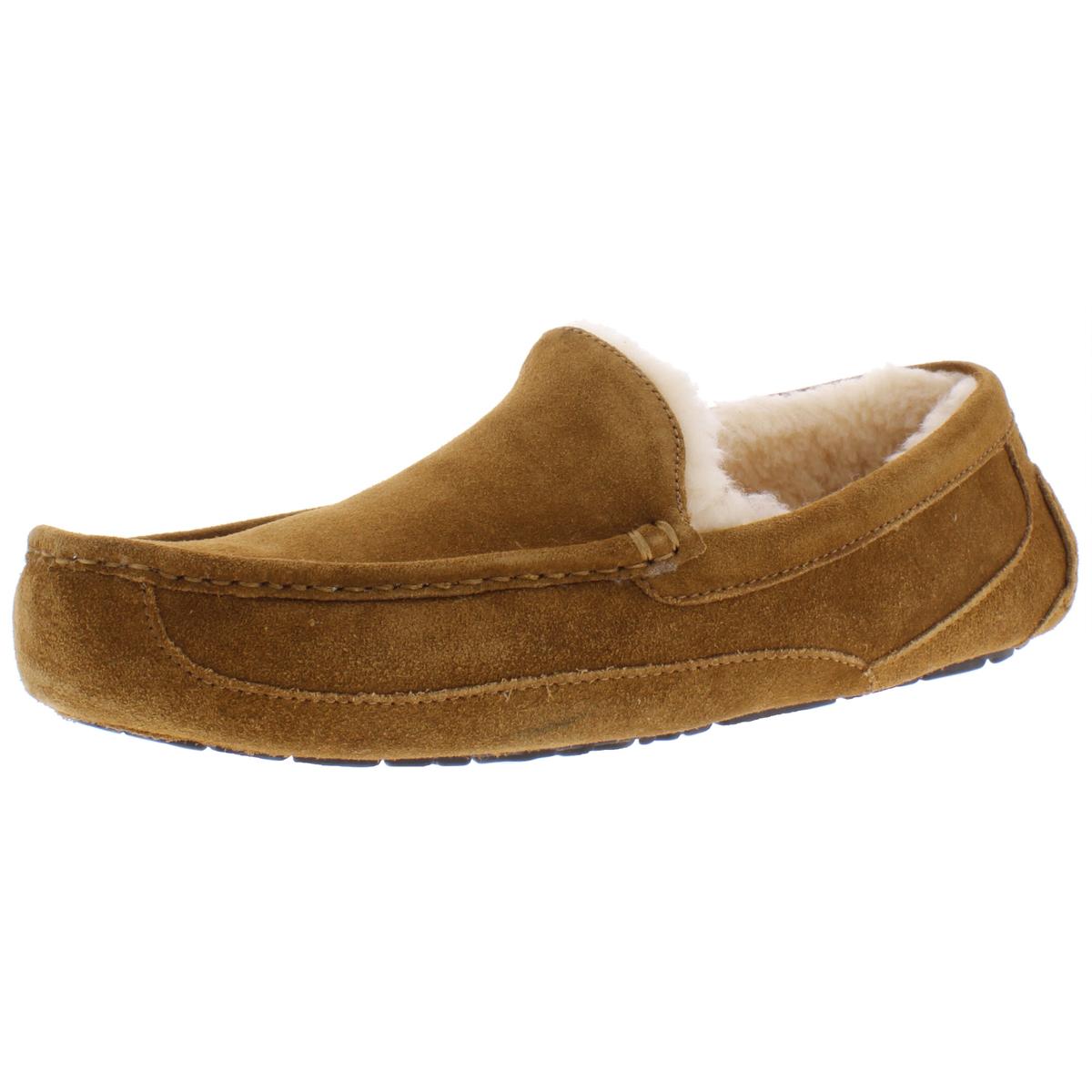 Ugg ascot mens slippers size 10 new arrivals