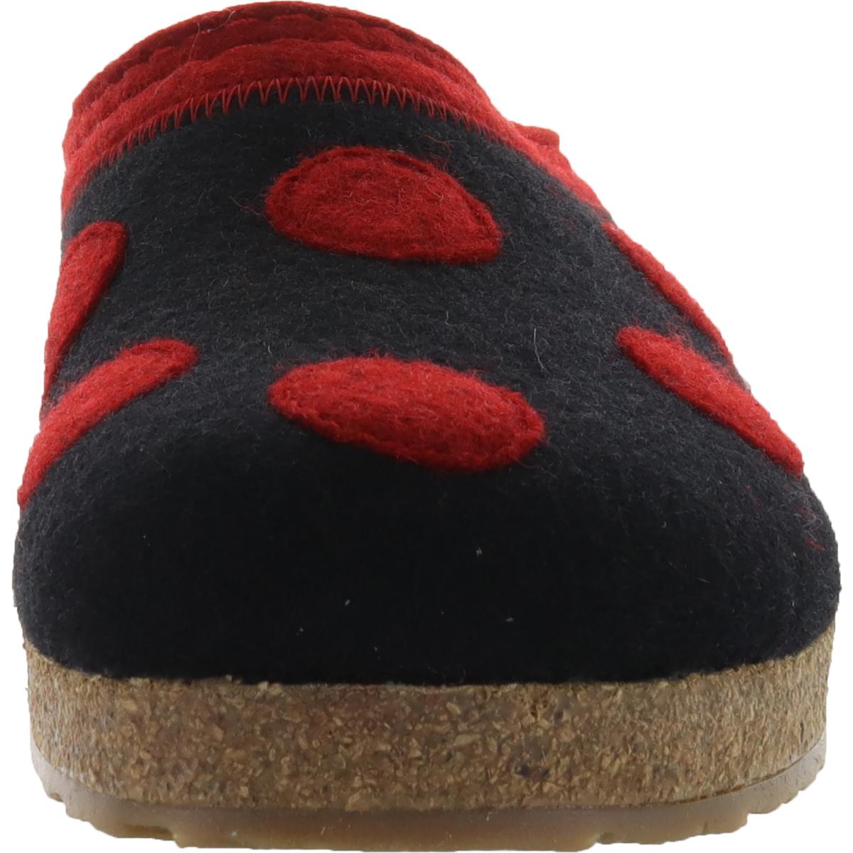 haflinger dotty